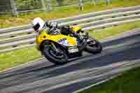 Middle 2 Group Yellow Bikes